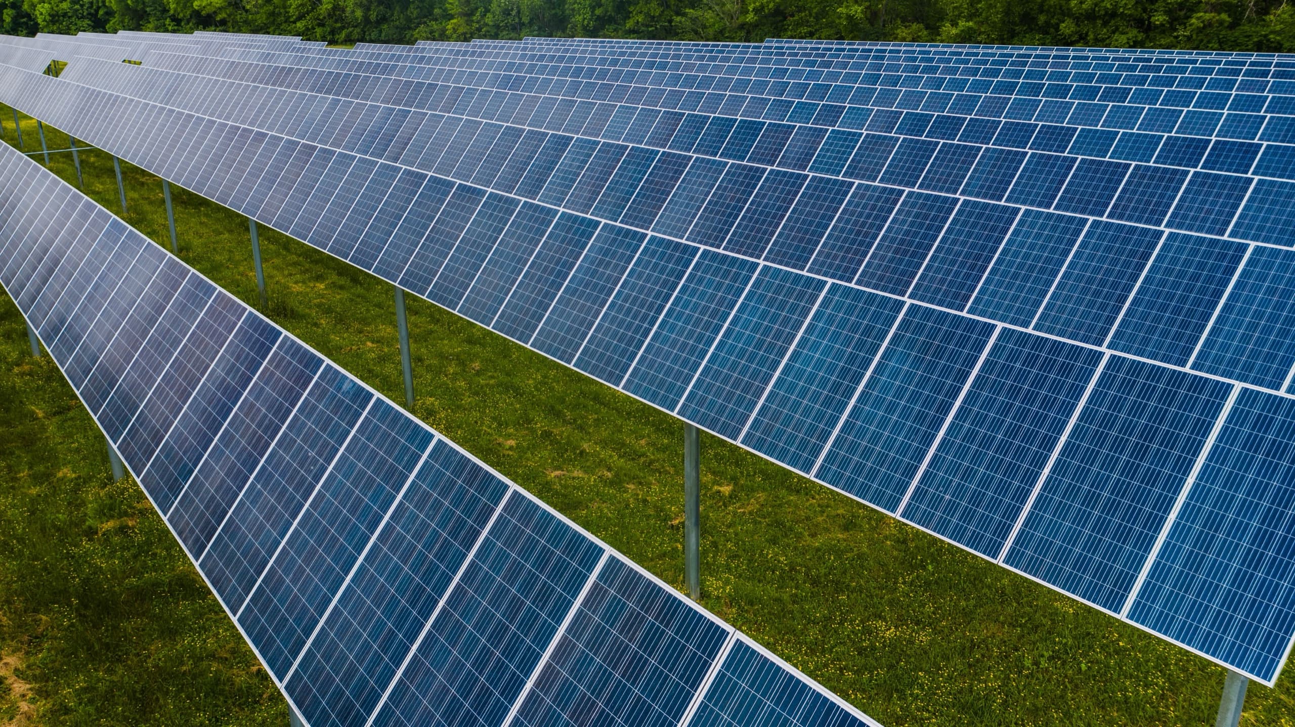 Solar arrays alongside dense green woodland.