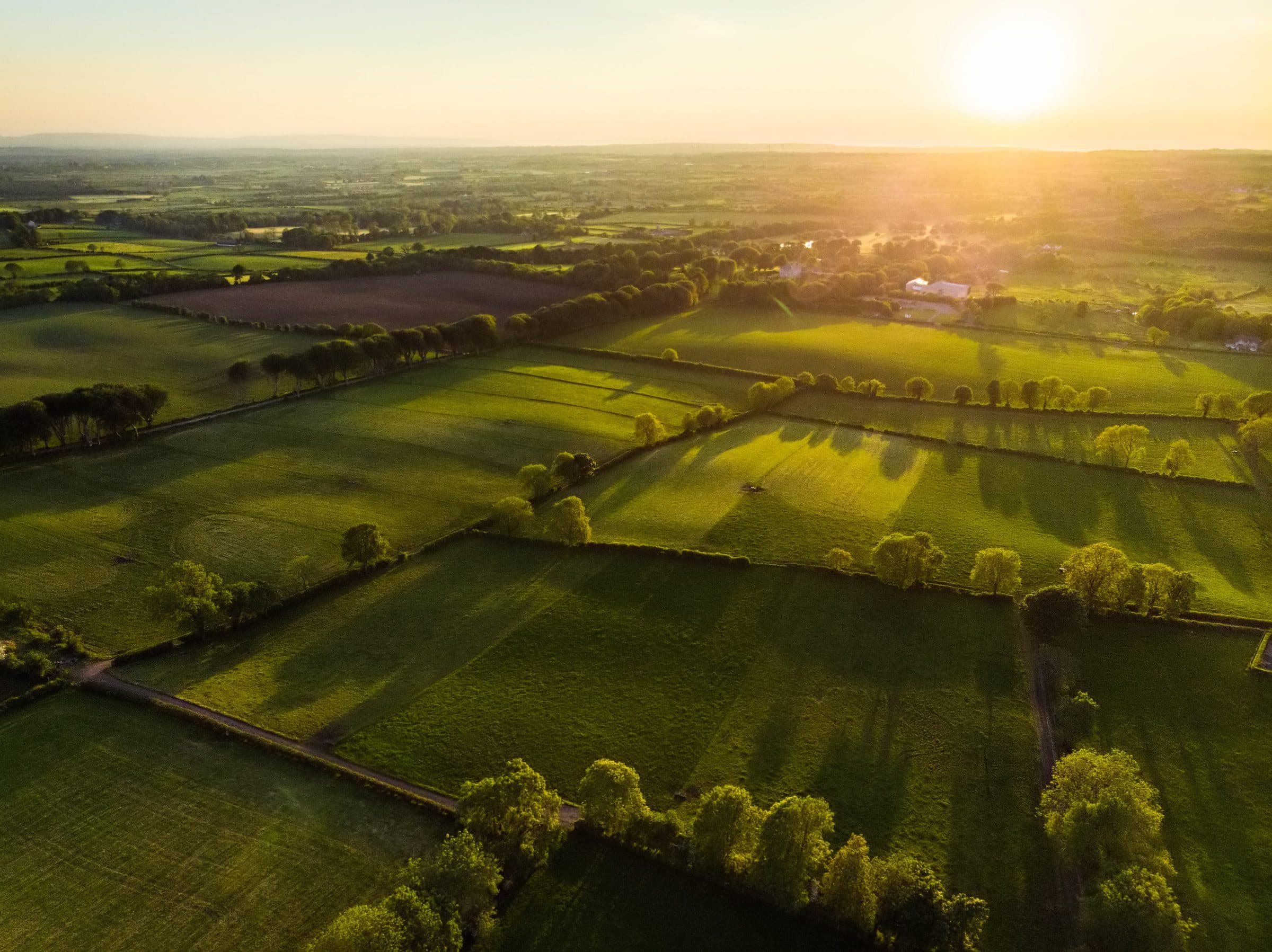 Golden-hour aerial view over open farmland.